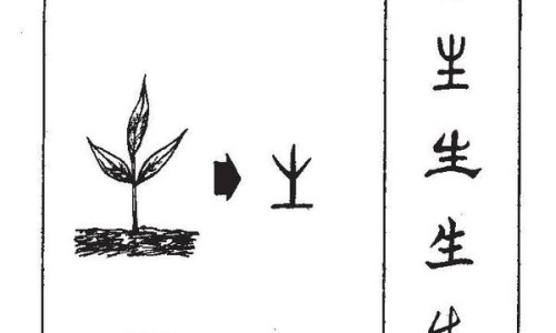苦瓜大骨汤的功效与禁忌-苦瓜大骨汤的功效网-分享苦瓜大骨汤的功效与作用，苦瓜大骨汤的功效与禁忌知识库