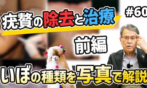 苦瓜大蒜汁的功效与作用-苦瓜大骨汤的功效网-分享苦瓜大骨汤的功效与作用，苦瓜大骨汤的功效与禁忌知识库